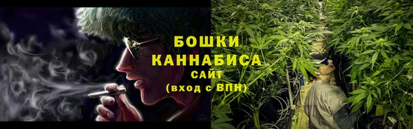 ГАЛЛЮЦИНОГЕННЫЕ ГРИБЫ Вязьма